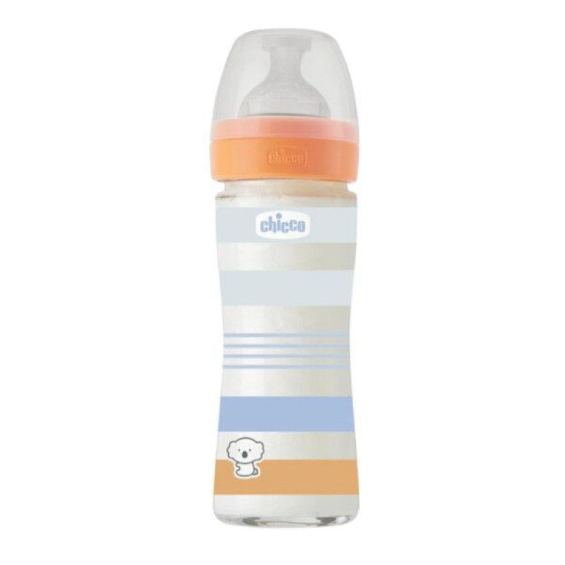CHICCO BIBERAO VIDRO 240ML WELL BEING