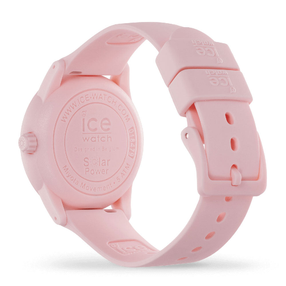 ICE solar power - Pink lady - Small - 3H
