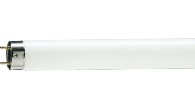 LAMPADA FLORESCENTE PHILIPS SNOW 18W 600MM