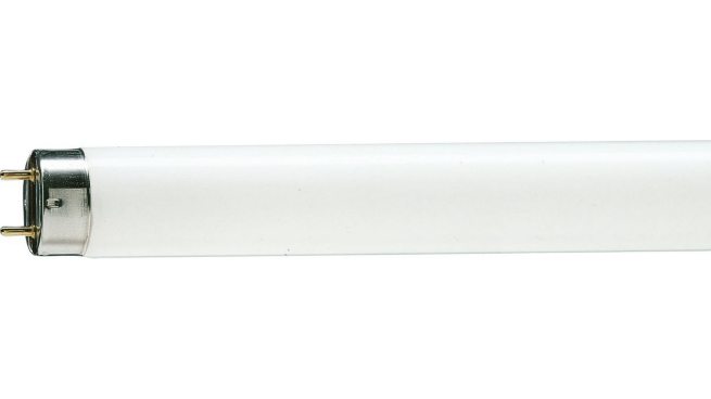 LAMPADA FLORESCENTE PHILIPS SNOW 36W 1200MM