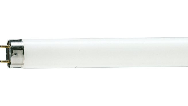 LAMPADA FLORESCENTE PHILIPS TL-D 36W/54-765 1200MM