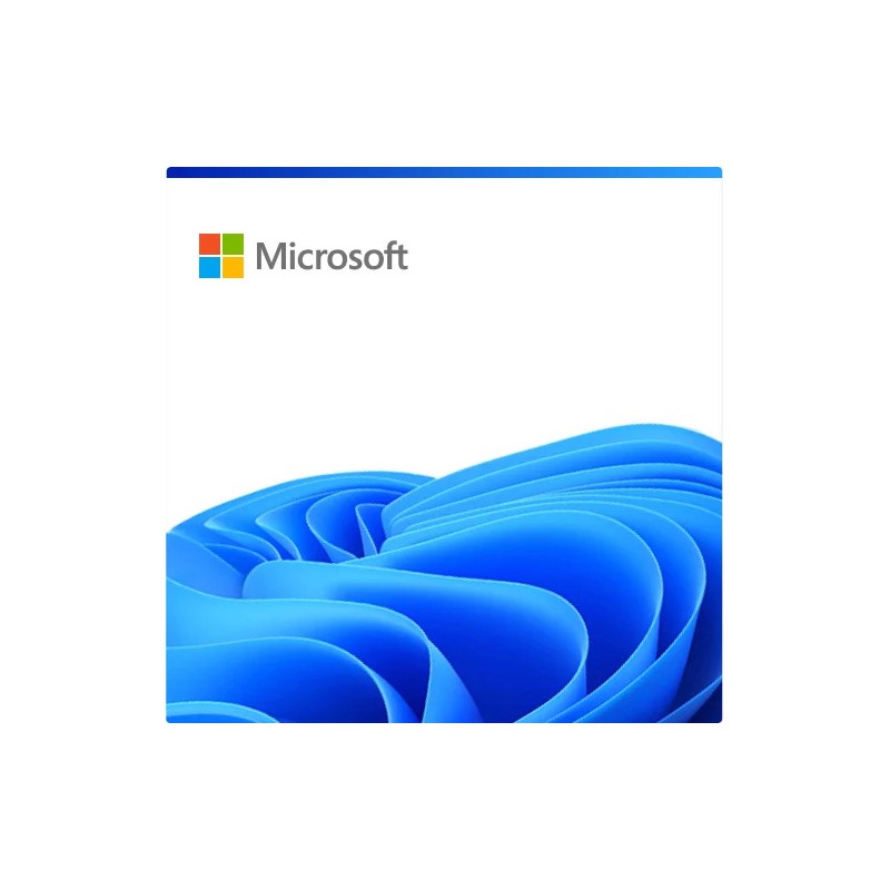 Dynamics 365 Business Central Team Members - P1Y - Annual