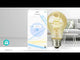 Lâmp. LED Branco Qt e Frio|Wi-Fi|E27|806 lm|9 W