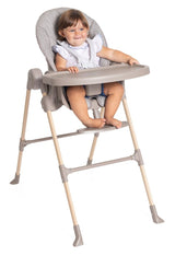 CHICCO POLLY ESSENTIAL ASH 15KG