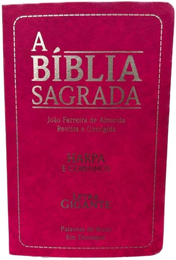 BÍBLIA SAGRADA EVANGELICA ROSA - HARPA E CORINHOS