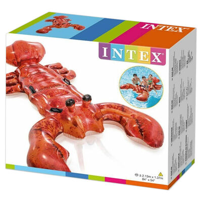 Passeio inflável Intex na lagosta