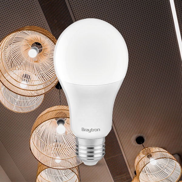 Lâmpada LED Bulbo 15W 1350lm E27 6500K Braytron