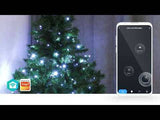 Luzes Decorativas Nedis WI-FI Quente/Frio 100 Leds 10m