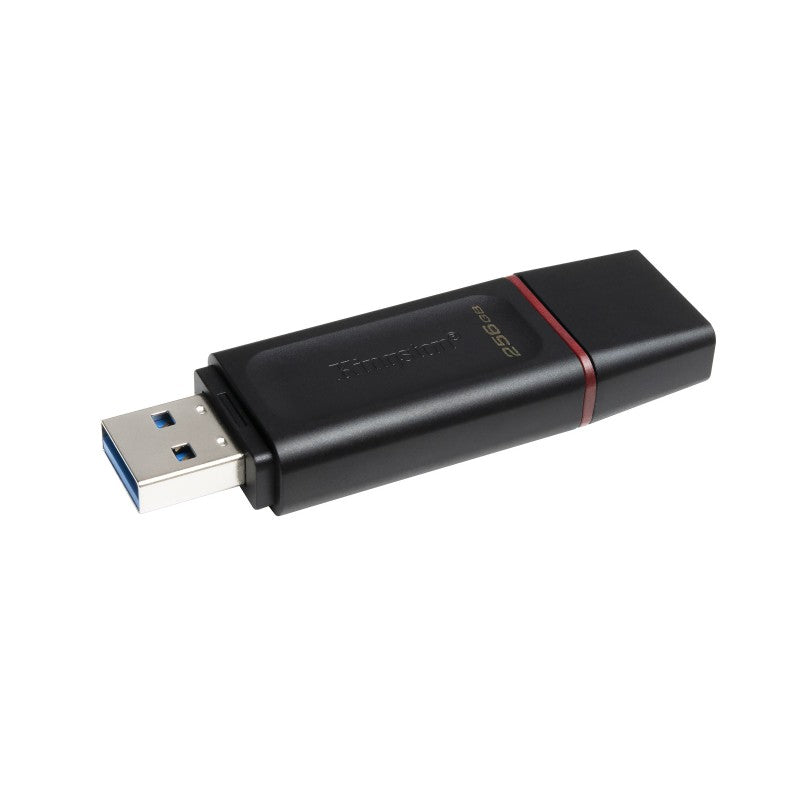 PEN DRIVE 256GB KINGSTON DTX EXODIA