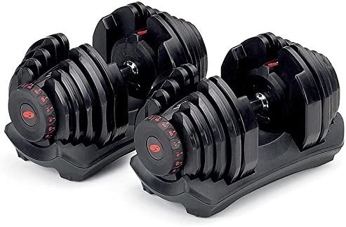 Halteres Bowflex SelectTech 1090i