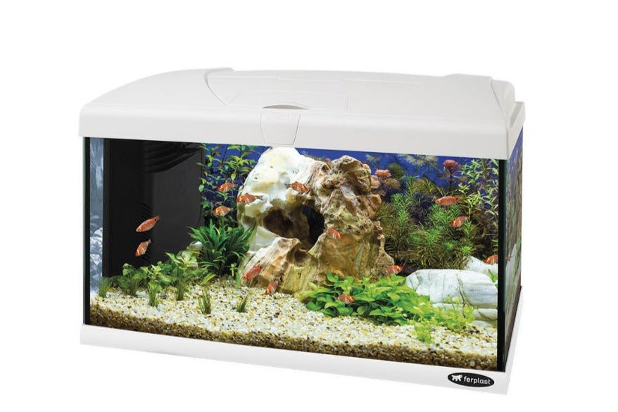 Aquário Vidro Capri 60 Led Branco - 60l