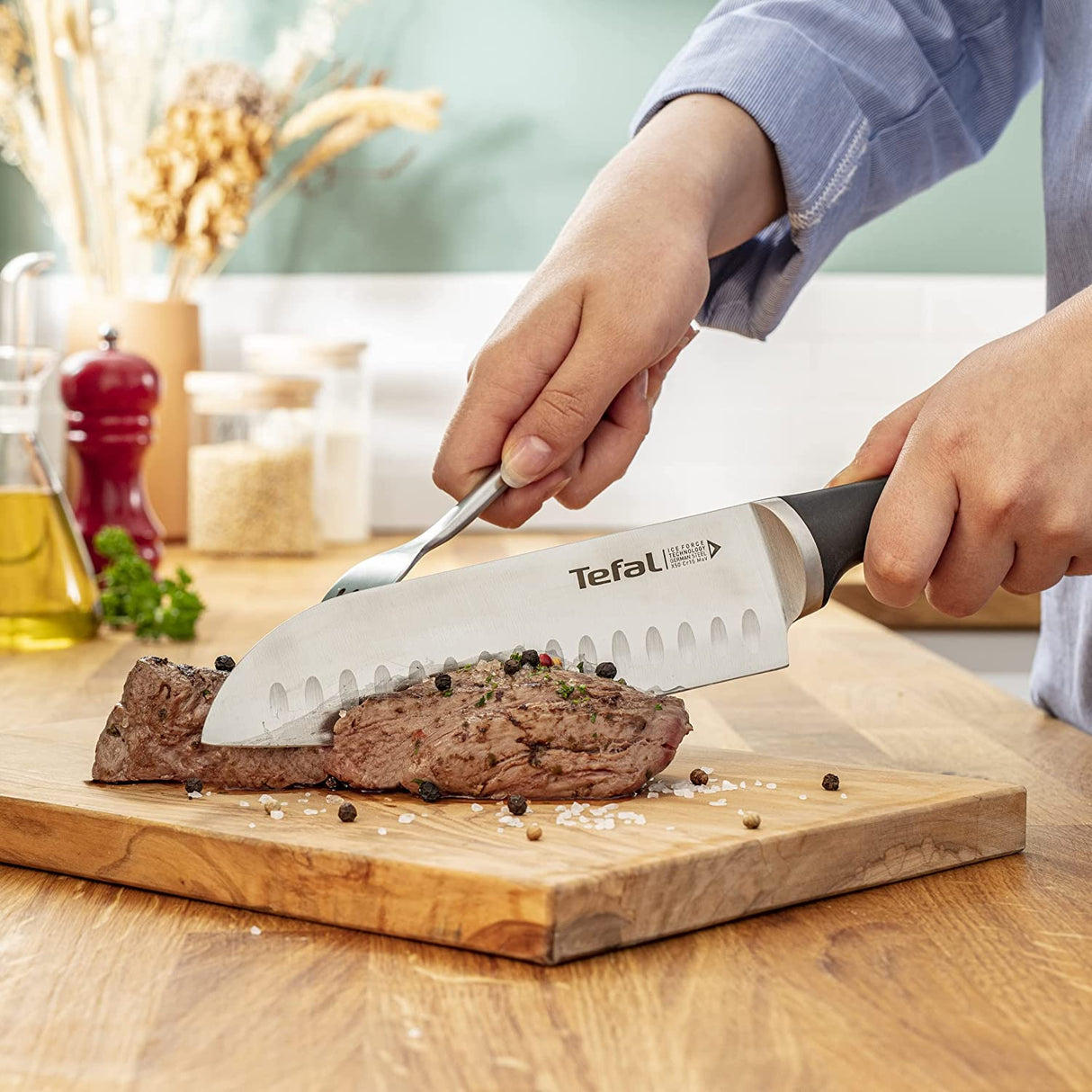 TEFAL CONJUNTO 5 FACAS