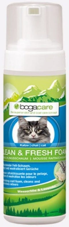 Bogacare Shampoo Seco Espuma Gato 150ml