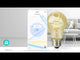 Lâmpada LED RGBW |Pack 2 |Wi-Fi | E27 | 806 lm | 9 W